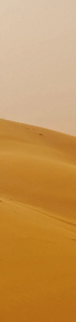 Sandsturm-Erlebnis.